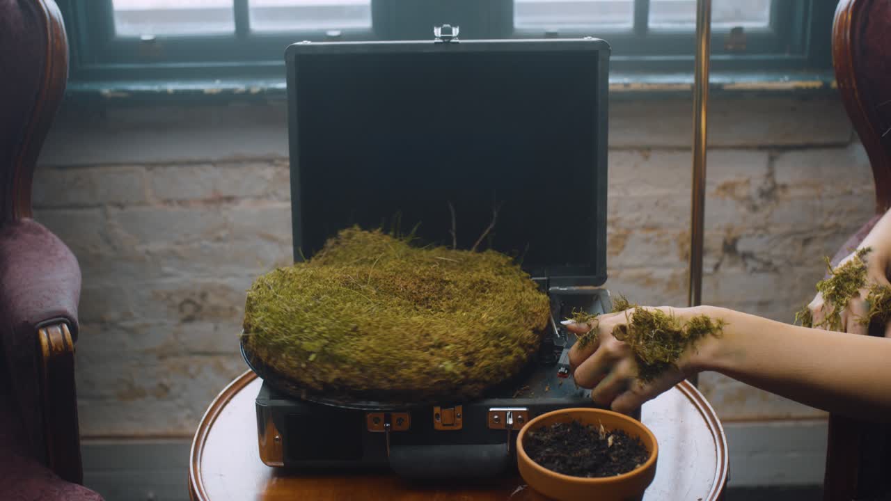 Green thumb starts record with moss growing on it.