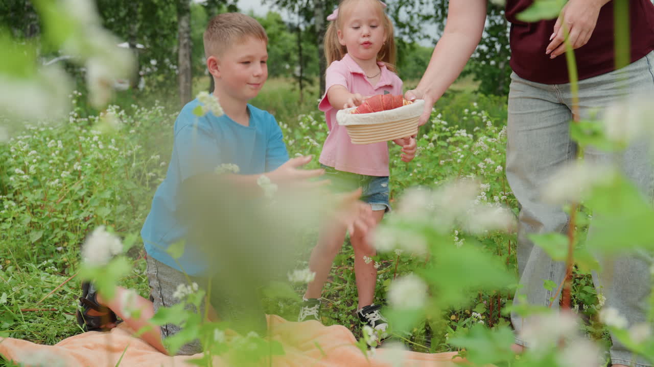 Une mère caucasienne et ses enfants cueillent des fraises dans un pré. La mère offre un bol de baies mûres tandis que le garçon, agenouillé, ramasse des fruits sur une couverture. Une fille en short en jean les regarde, avec des bouleaux et des fleurs sauvages autour.