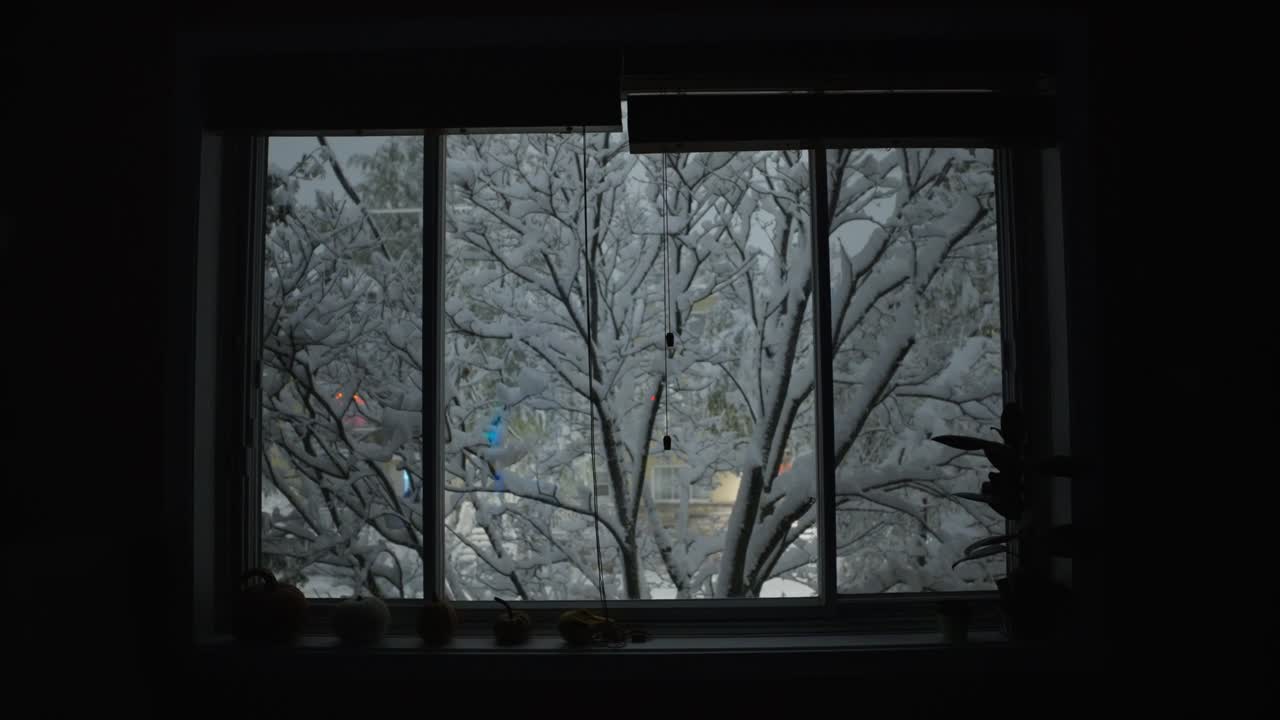 Snow-covered Trees Seen From The Window Of House. - static shot