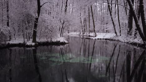 Friedliche-Niebieskie-Zrodla-Blaue-Quellen-Winterlandschaft-Berühmter-Schimmernder-Pool,-Polen-Während-Schneefall