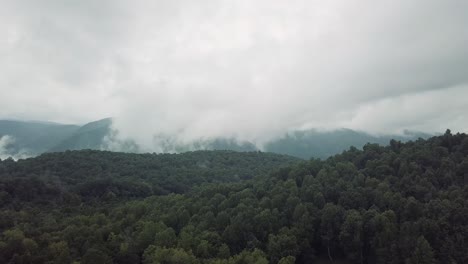 drone volando sobre el bosque y los árboles en las montañas humeantes, usa hacia el cielo nublado para una escena increíble y hermosa