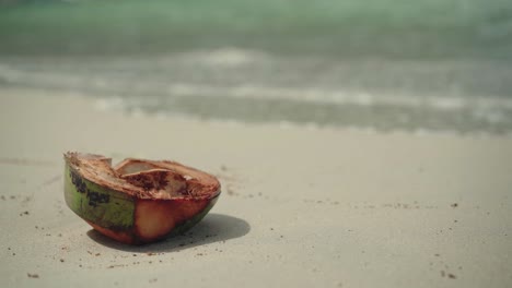 cáscara de coco en la arena blanca con olas salpicando a la playa tropical en el nido, filipinas - primer plano