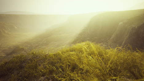 Goldene-Felsen-Und-Gras-In-Den-Bergen