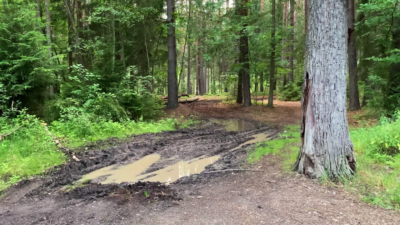 rastros del paso de la cosechadora pesada
