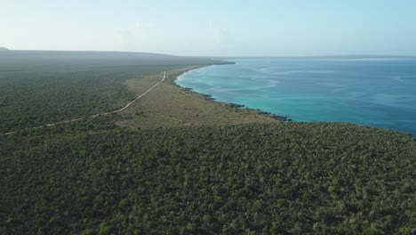 increíble toma aérea sobre pedernal de cabo rojo con vista al horizonte, áreas verdes en una hermosa mañana, agua de mar cristalina