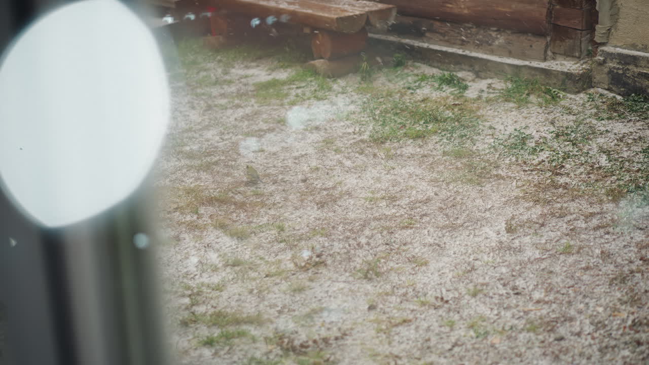 Garten, durch regennasses Fenster geblickt, weiches Bokeh und kreisförmige Lichter, Regentropfen auf Glas, verstreute Blütenblätter auf feuchtem Kies, verschwommene Säule im Vordergrund, intimer Blickpunkt von drinnen, der Ruhe hervorruft.