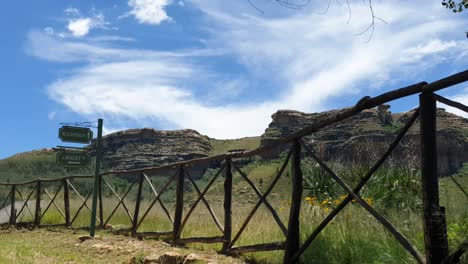 Old-gravel-road-leading-to-the-chalets-and-guest-houses-at-Camelroc-vacation-farm-past-old-trees-and-farm-fence,-South-Africa