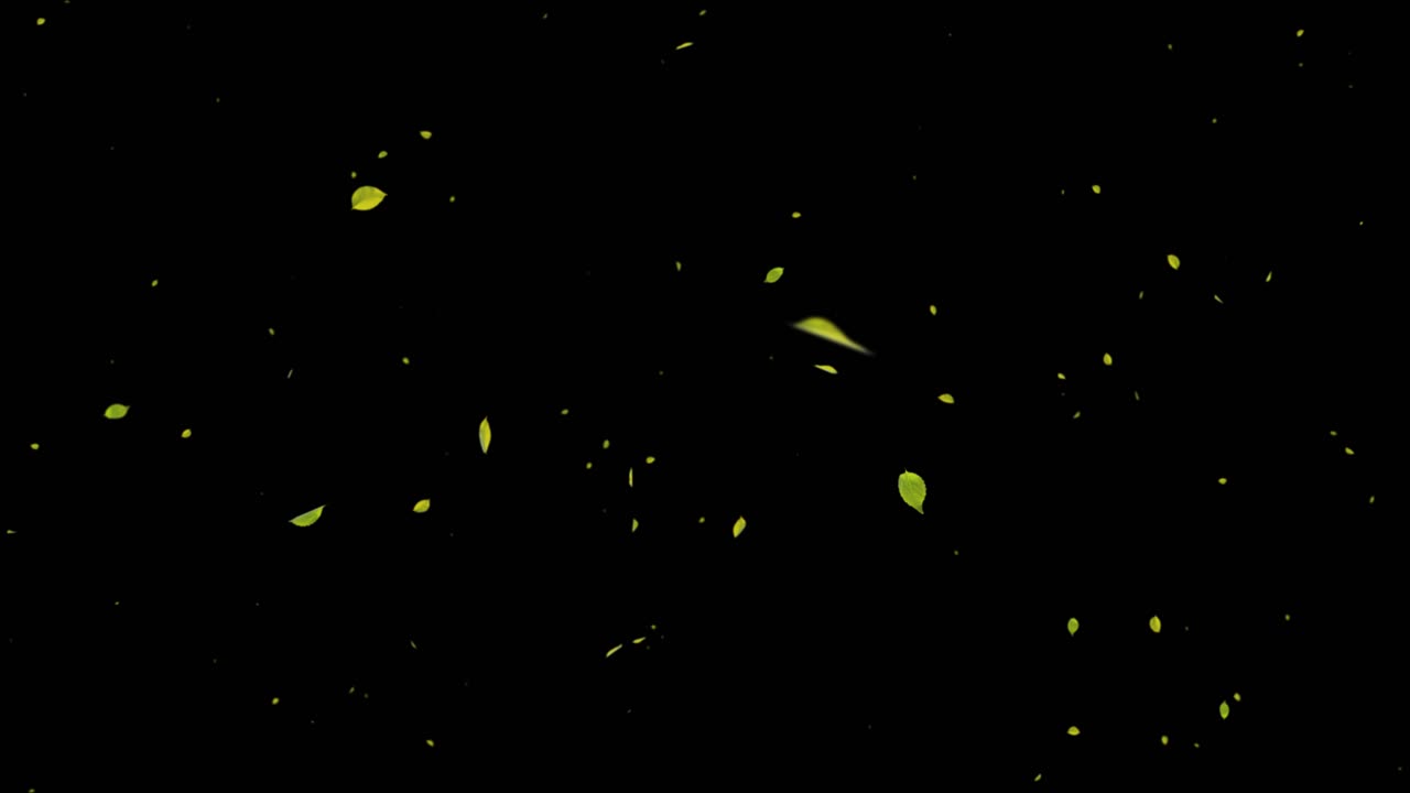 Falling Leaves and Petals Animation
