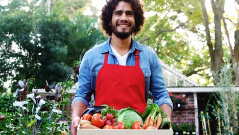 Gardener-carrying-crate-of-fresh-vegetables