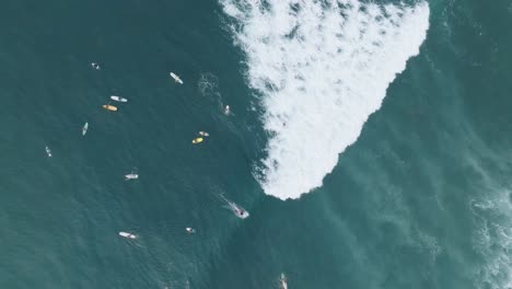 vista aérea de arriba hacia abajo de los surfistas en sunzal el tunco el salvador