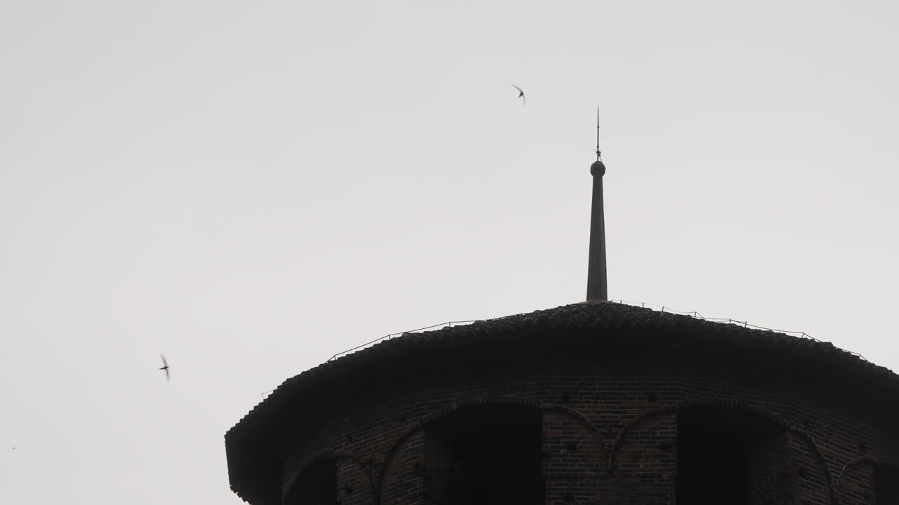 Scena al rallentatore con uccelli e la cima di un monumento italiano in evidenza.