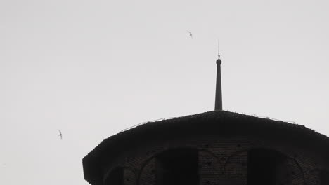 Slow-motion-scene-with-birds-and-top-of-Italian-monument-showing