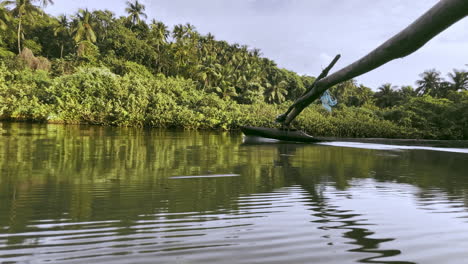 remos de un barco de pesca flotando en el río saleri goa india 4k