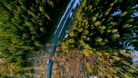 Wunderschöne-Landschaft-Einer-Straße-Mit-Einem-Fahrzeug,-Das-Morgens-Mit-Einem-Kiefernwald-Bedeckt-Ist