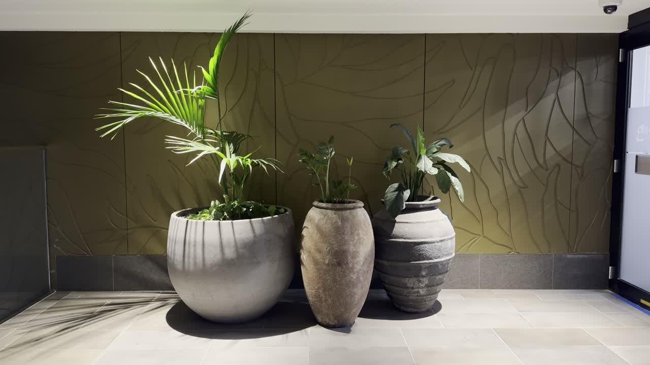 three plants in a pot at the shopping mall or office