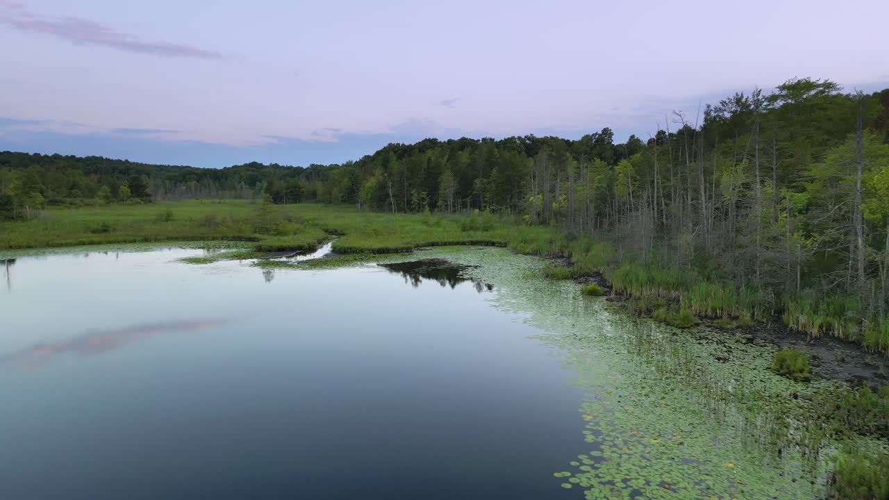 Aerial: Drone Forward Panning Shot Of Natural Lake and wetlands ecosystem