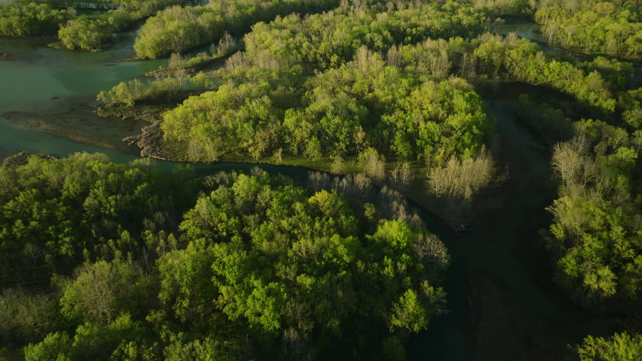 Sunrise over Lake Sequoyah, casting golden light on lush greenery, aerial view