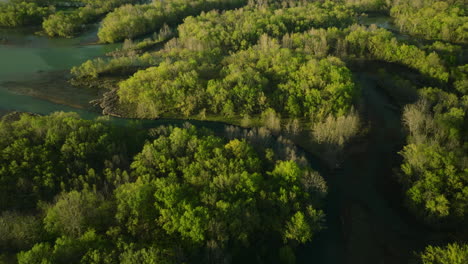 Sunrise-over-Lake-Sequoyah,-casting-golden-light-on-lush-greenery,-aerial-view