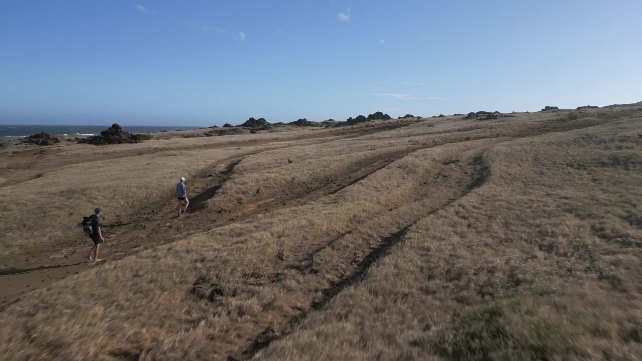 Low flyover: Two hikers on dirt road on Mahana grassland shore, Hawaii