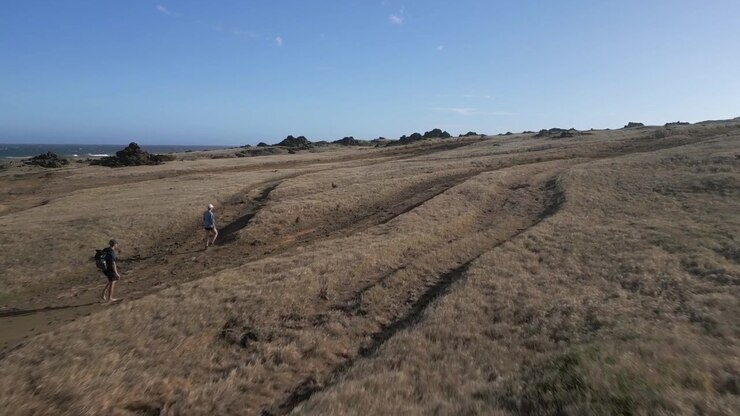 Low flyover: Two hikers on dirt road on Mahana grassland shore, Hawaii