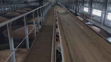 the grain transportation conveyor belt is in operation