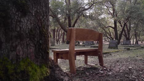 Back-of-Wooden-Bench-in-the-Jacksonville-Cemetery-in-Oregon---4K