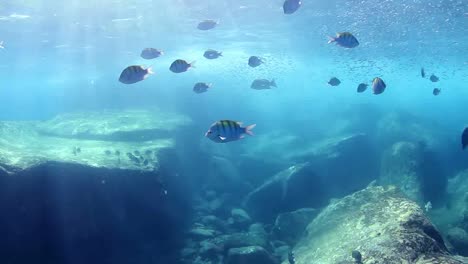 méxico buceo 0 22