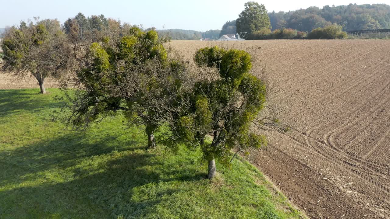 슬로베니아 시골 크레센예벡 외곽의 경사진 들판에서 경작된 농지의 공중 전망