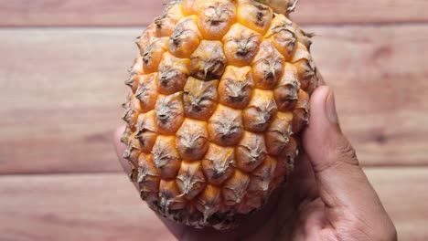 mano con una pequeña piña