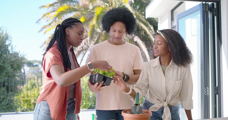 African American friends checking seed trays, separating plants and potting into clay pot on patio