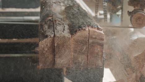 Closeup of cut pine tree log on sawing machine at wood production factory. Timber material processing and cutting at sawmill. Manufacturing process at lumber mill. Sawing woods on power machine