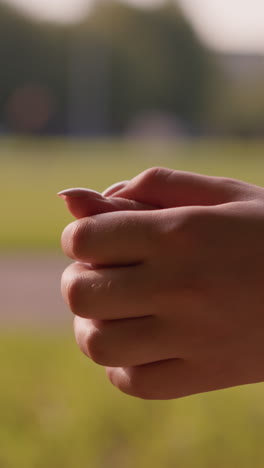 primer plano de las manos de los individuos unidas en un suave movimiento de roce, en un fondo suavemente borroso de paisaje verde y árboles