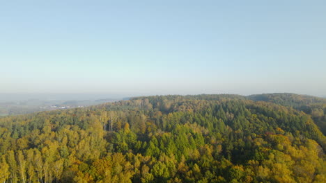 Schöne-Grüne-Bäume-Im-Bergwald-Von-Napromek,-Polen---Luft