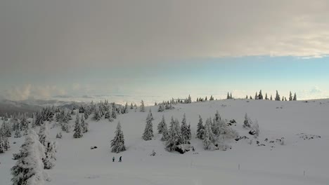 Two-People-Walking-On-The-Snowy-Landscape-With-Pine-Trees-Covered-With-Snow-In-Slovenia-During-Winter---descending-drone-shot