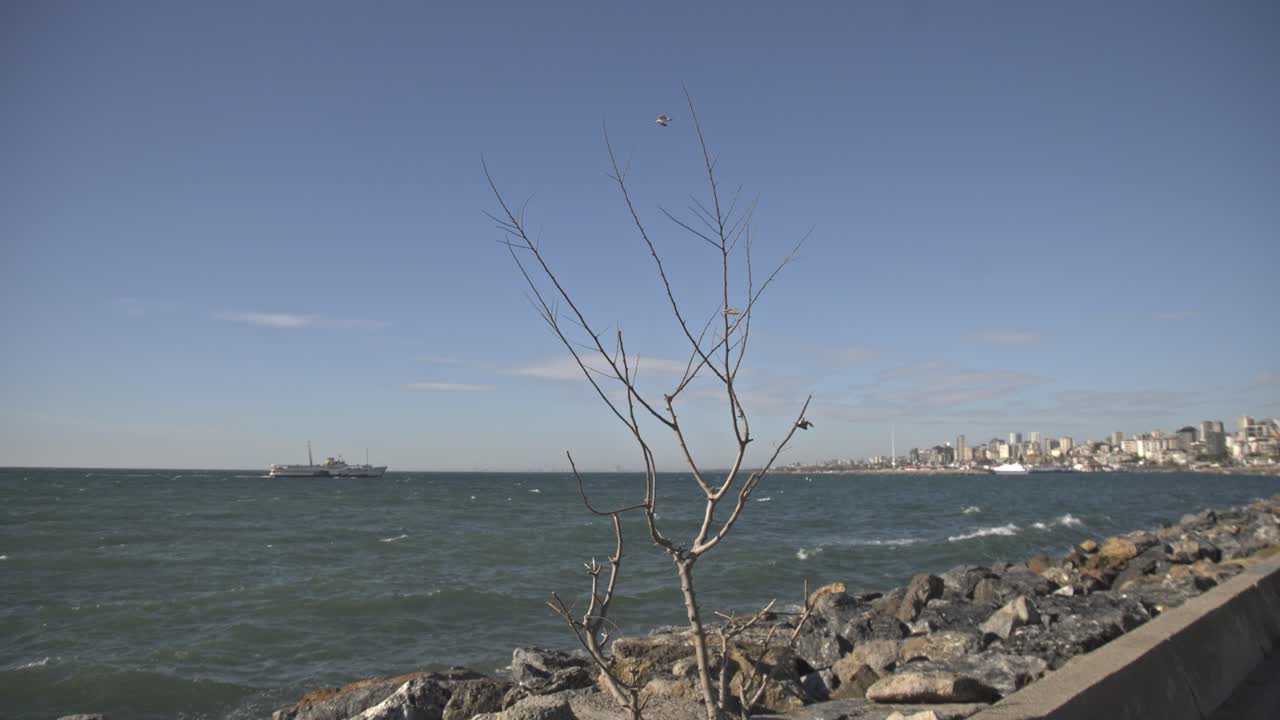 산호초와 바위 위에 부히는 파도의 전망 (4k uhd)