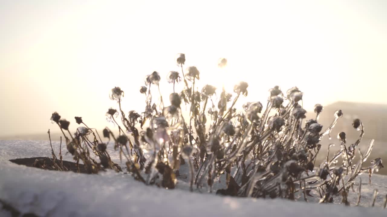 A cold January morning along with some winter precipitation and a bright sunrise make for some interesting details.