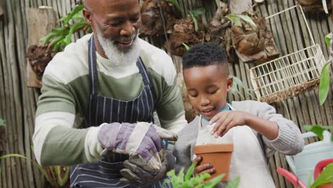 Glücklicher-älterer-Afroamerikanischer-Mann-Mit-Seinem-Enkel,-Der-Pflanzen-Im-Garten-Eintopft