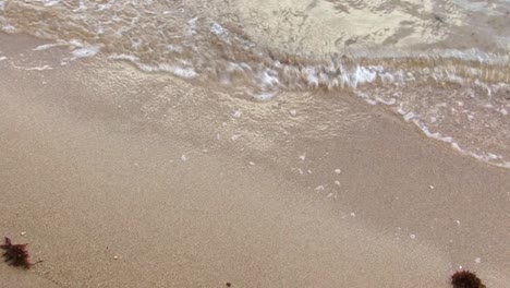 small waves on the golden sand in bora bora, french polynesia