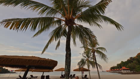 playa tropical al amanecer o al atardecer