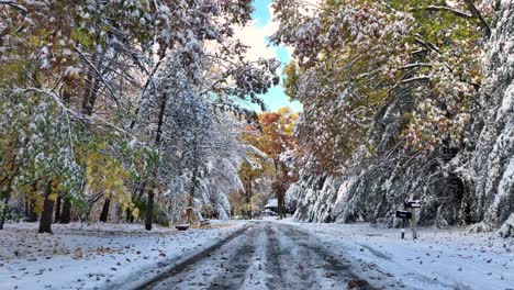 Schnee-Fällt-Von-Einem-Baum-In-Der-Nähe-Einer-Straße