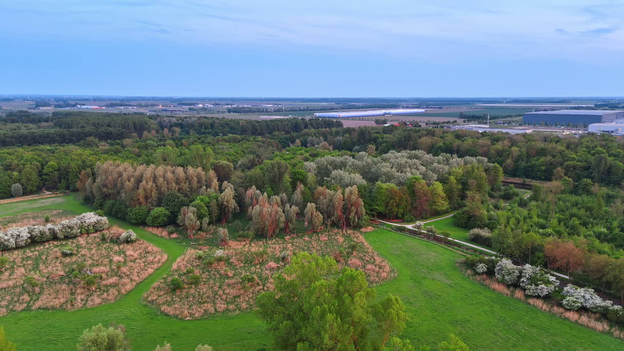 Lush Dutch spring landscape. Open green fields and beautiful forest areas showcase the natural beauty of the Netherlands during springtime