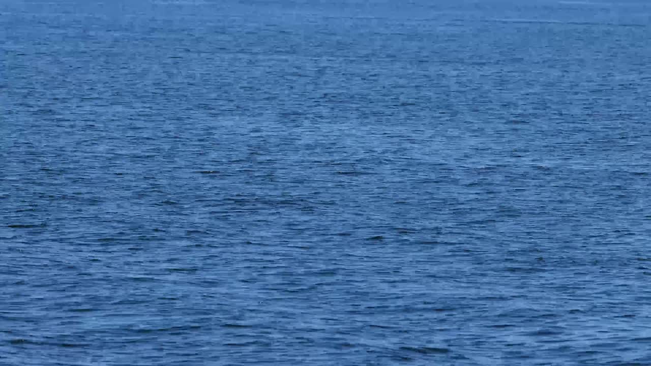 워터 와이드 샷 4k 60p 반영