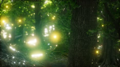 Firefly-Flying-in-the-Forest