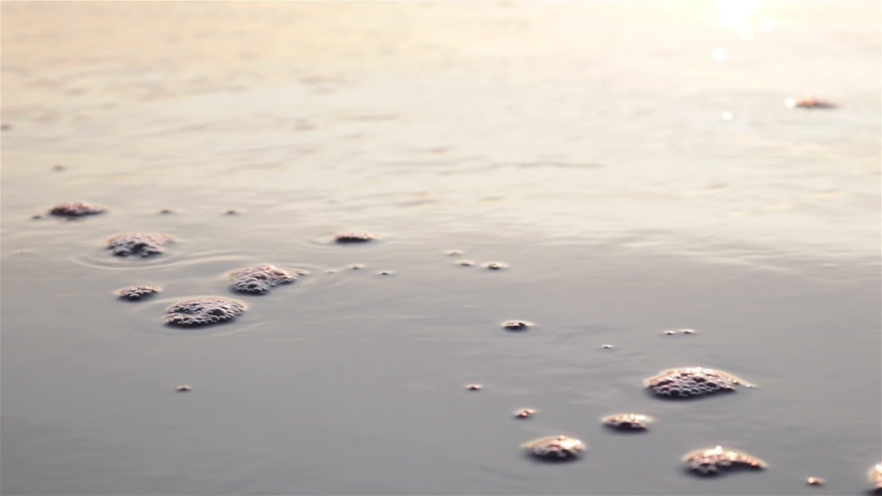 Close up view of pacific ocean wave gliding over smooth wet beach sand at sunset