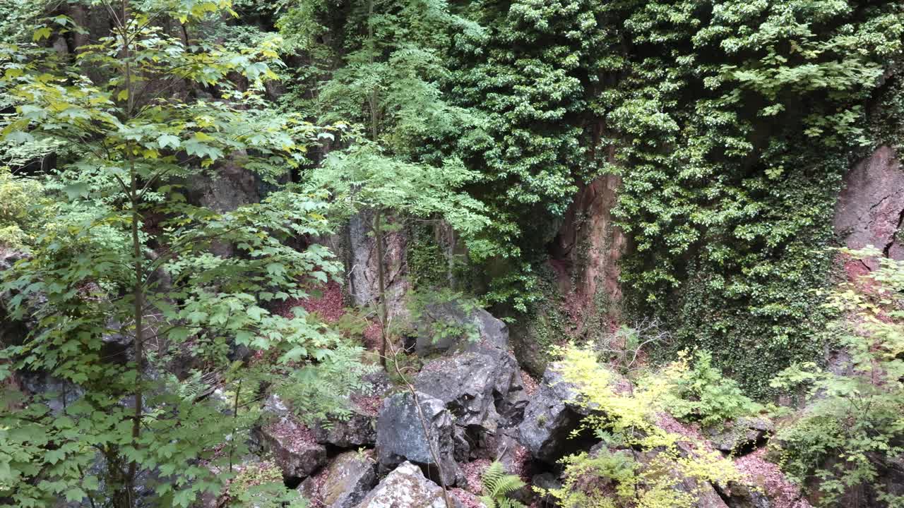 felsenmeer en hemer con enormes formaciones rocosas en el bosque