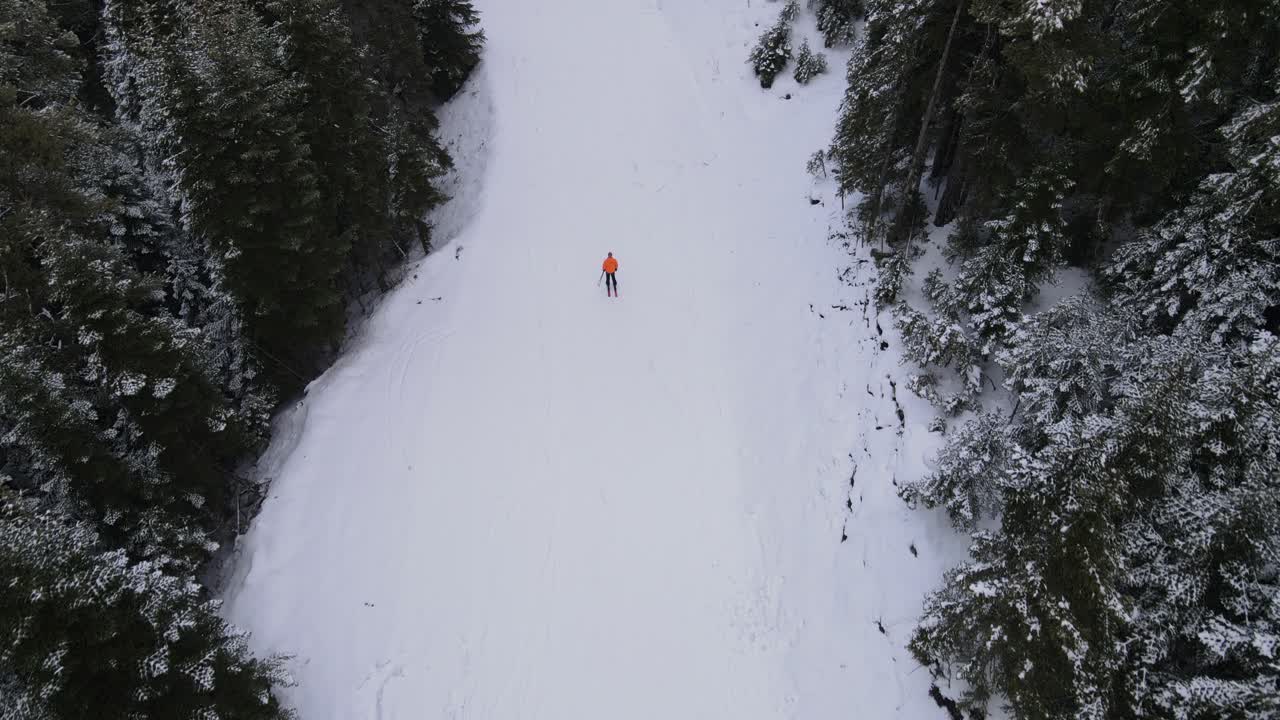 deporte de invierno en el bosque
