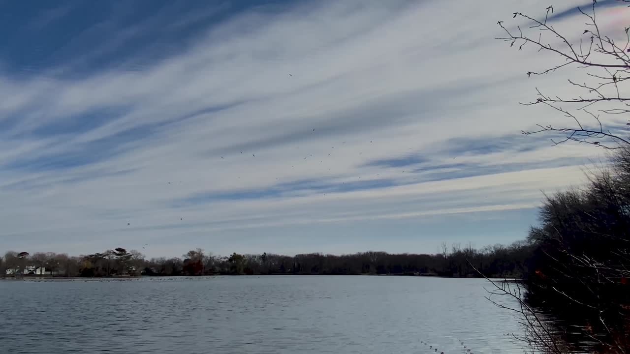 gaviotas volando sobre el estanque de southards en el pueblo de babilonia haciendo ruido