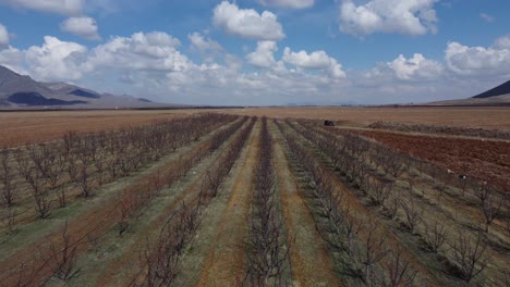 Vista-Aérea-De-Drone-Sobre-Huerto