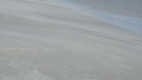 empty white sandy shore with calm waves in summertime