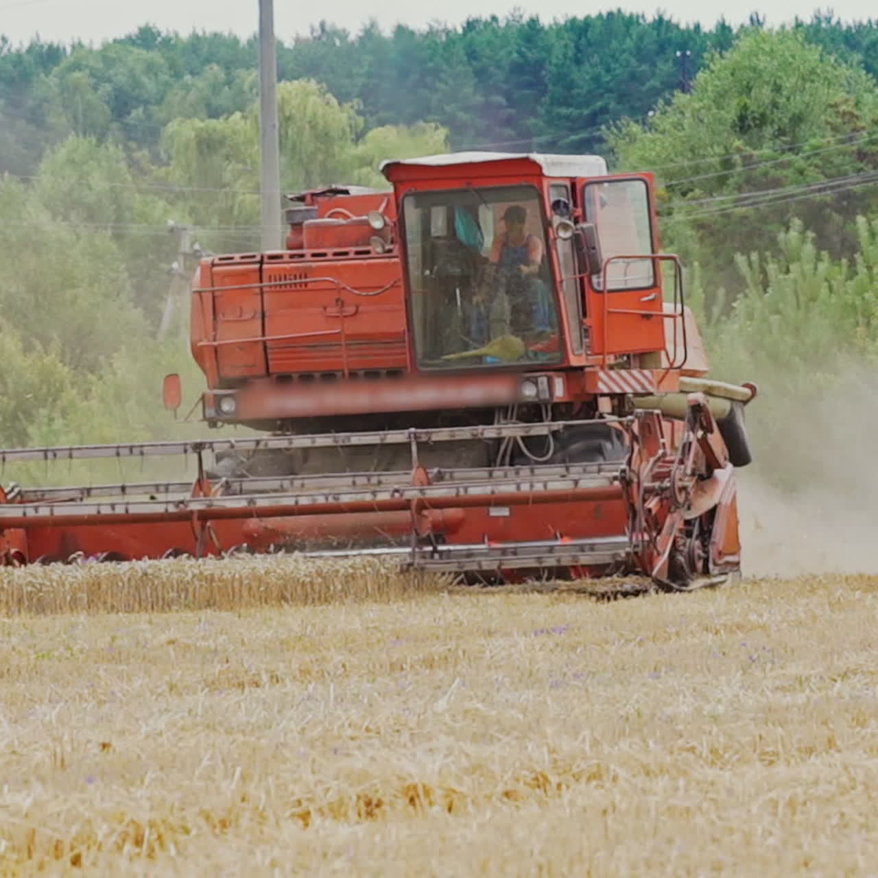 Combine harvester gathers the wheat crop. Wheat Harvesting.